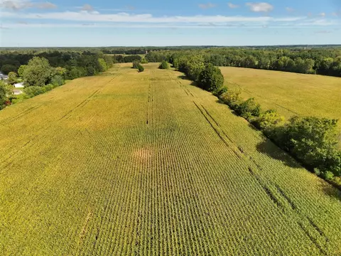 N Bray, Clio, MI 48420 photo 4