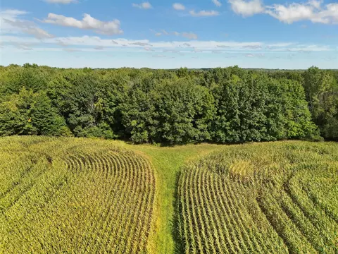 N Bray, Clio, MI 48420 photo 17