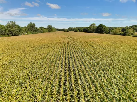 N Bray, Clio, MI 48420 photo 6