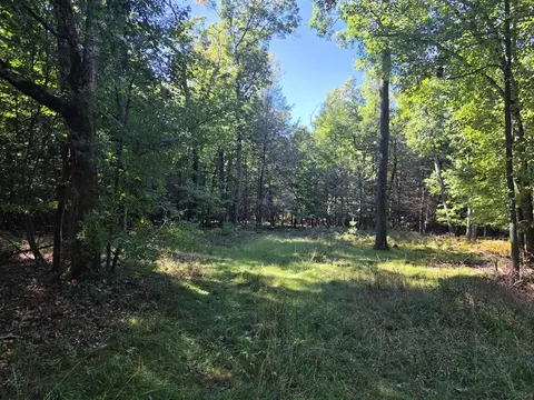 VL Indian Bay #11.5 ACRES, Montague, MI 49437
