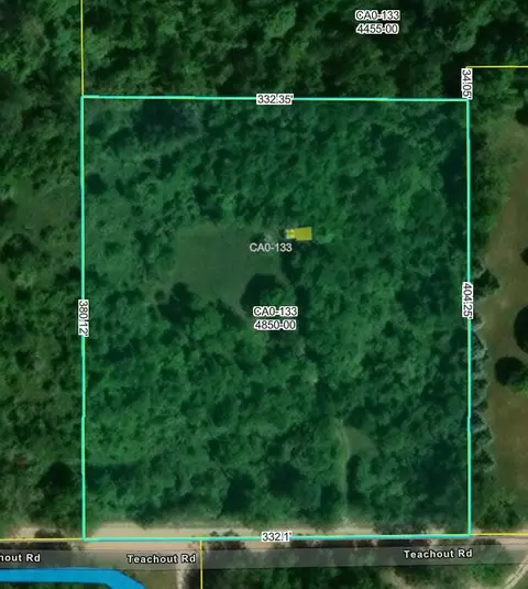 10000 Teachout Rd, Onsted, MI 49265