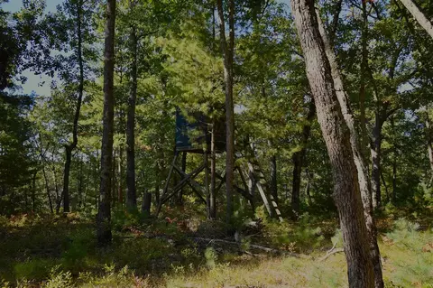 Whitney, Baldwin, MI 49304 photo 6