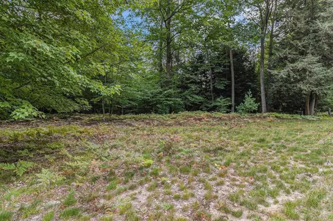 lot3 Pine, Mears, MI 49436 photo 12