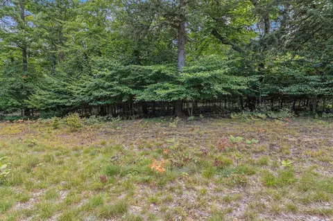 lot3 Pine, Mears, MI 49436 photo 5