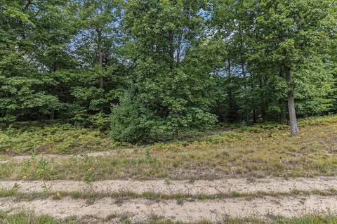 lot3 Pine, Mears, MI 49436 photo 6