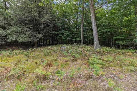 lot3 Pine, Mears, MI 49436 photo 15