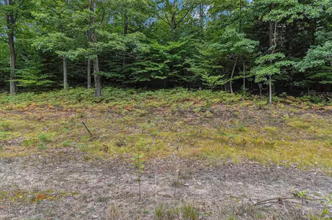 lot3 Pine, Mears, MI 49436 photo 13