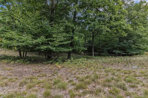 lot2 Pine, Mears, MI 49436 photo 8