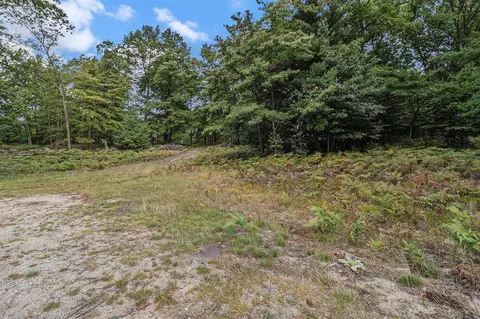 lot2 Pine, Mears, MI 49436 photo 4