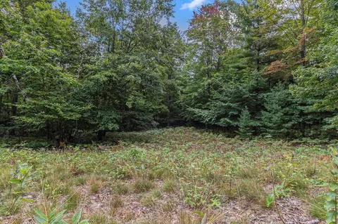 lot2 Pine, Mears, MI 49436 photo 10
