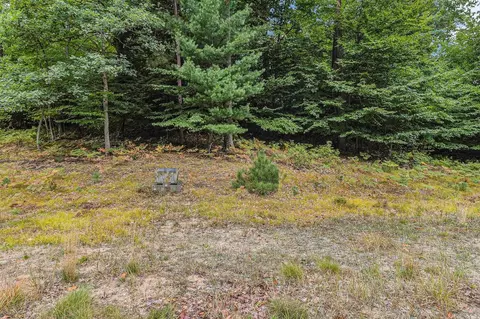 lot2 Pine, Mears, MI 49436 photo 14