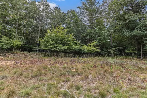lot2 Pine, Mears, MI 49436 photo 9