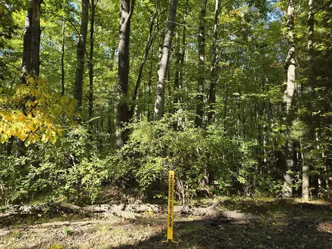 11980 Cape Breton, Canadian Lakes, MI 49346
