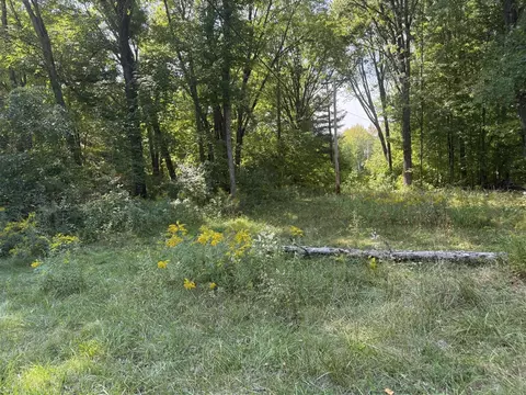 Carol, Newaygo, MI 49337 photo 2