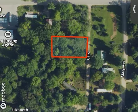 Carol, Newaygo, MI 49337 photo 8