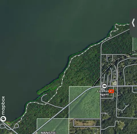Carol, Newaygo, MI 49337 photo 7