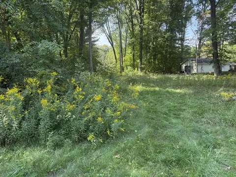 Carol, Newaygo, MI 49337 photo 3