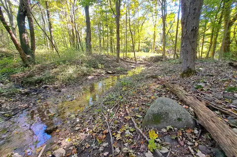 5 Acres Vacant Land 48th, Lawrence, MI 49064 photo 4