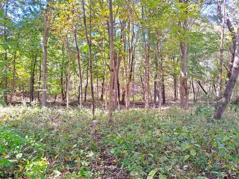 5 Acres Vacant Land 48th, Lawrence, MI 49064 photo 3