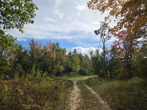 Vl Bruun, Frederic, MI 49733 photo 4