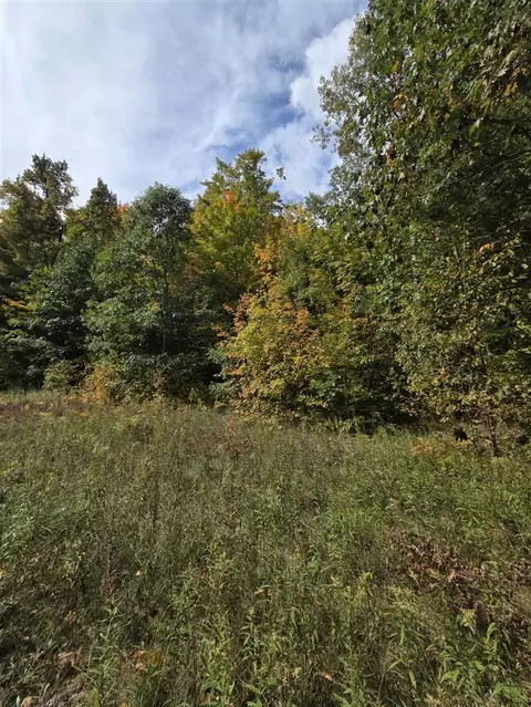 Vl Bruun, Frederic, MI 49733 photo 6