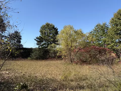 Parcel G 34th, Gobles, MI 49055 photo 3