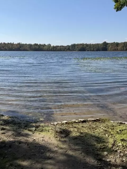 View/Area - 827 Nadeau, Pullman, MI 49450 photo 12 of 14