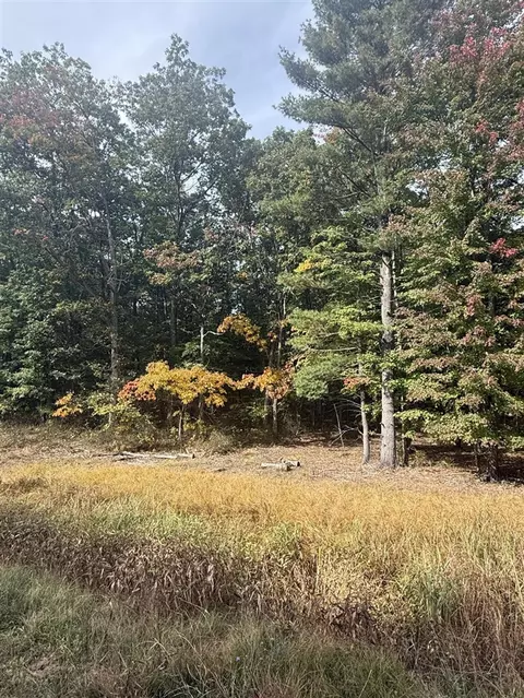 0 144th, Spring Lake, MI 49456 photo 5