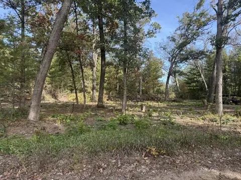 Vl Champlain, Baldwin, MI 49304 photo 6