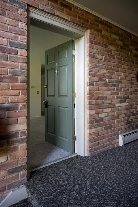 Entry Way - 436 Romeo #317, Rochester, MI 48307 photo 1 of 1