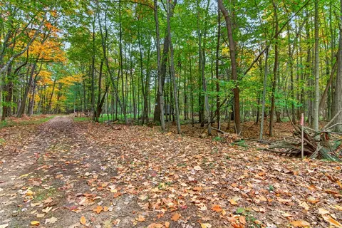 tolliver, Mears, MI 49436 photo 4