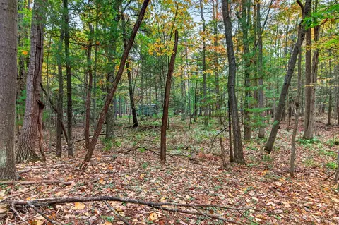 tolliver, Mears, MI 49436 photo 5