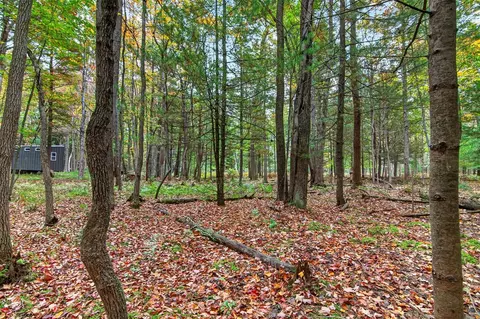 tolliver, Mears, MI 49436 photo 6