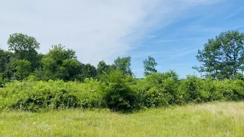Kruger, Three Oaks, MI 49128 photo 6