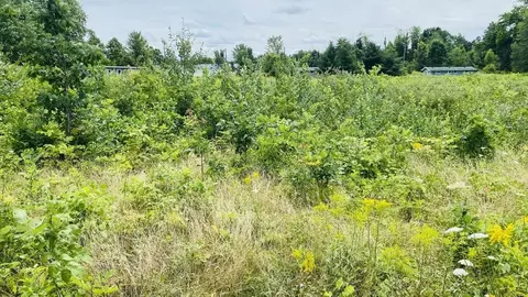 Kruger, Three Oaks, MI 49128 photo 10