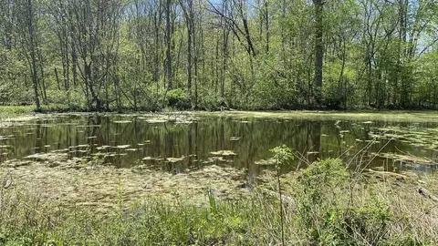 Kruger, Three Oaks, MI 49128 photo 9