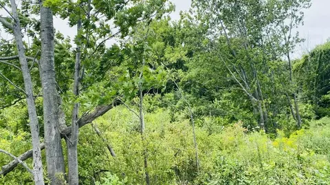 Kruger, Three Oaks, MI 49128 photo 5