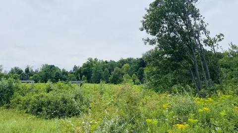 Kruger, Three Oaks, MI 49128 photo 4