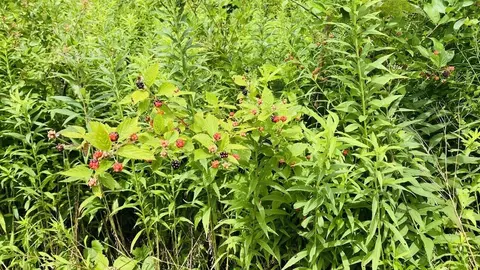 Kruger, Three Oaks, MI 49128 photo 3