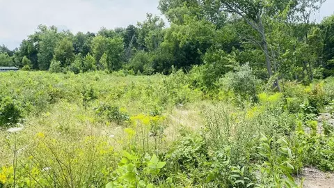 Kruger, Three Oaks, MI 49128 photo 2