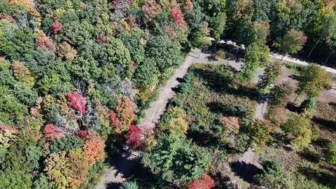 V/l N. Bear Track, White Cloud, MI 49349 photo 5