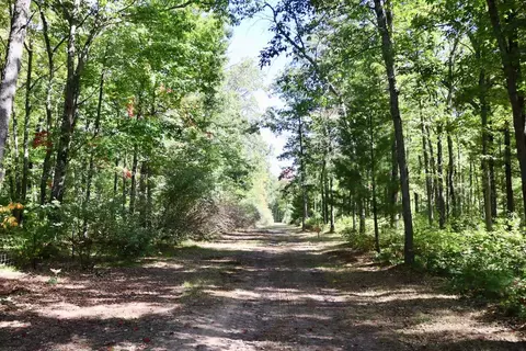 V/l N. Bear Track, White Cloud, MI 49349 photo 2