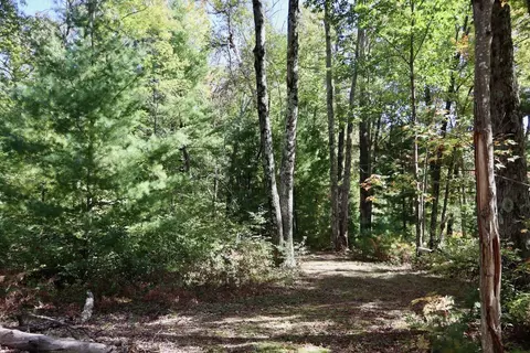 V/l N. Bear Track, White Cloud, MI 49349 photo 7