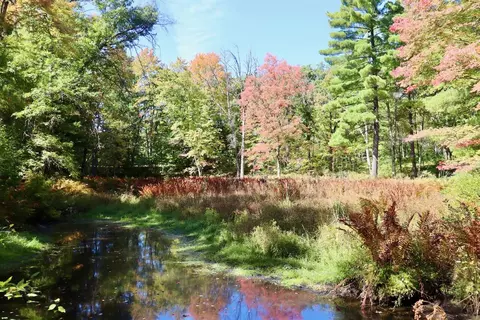 V/l N. Bear Track, White Cloud, MI 49349 photo 18
