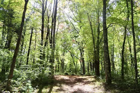 V/l N. Bear Track, White Cloud, MI 49349 photo 12