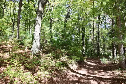 V/l N. Bear Track, White Cloud, MI 49349 photo 15