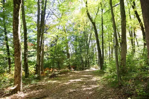 V/l N. Bear Track, White Cloud, MI 49349 photo 10