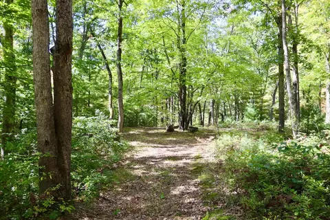 V/l N. Bear Track, White Cloud, MI 49349 photo 9
