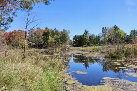 V/l N. Bear Track, White Cloud, MI 49349 photo 20