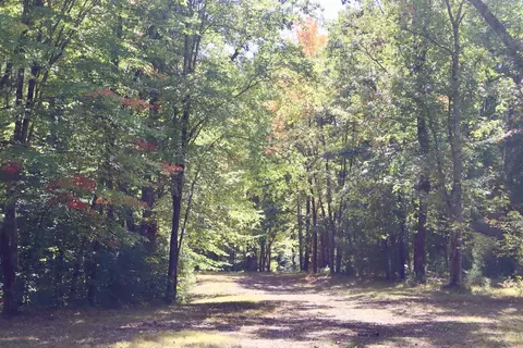 V/l N. Bear Track, White Cloud, MI 49349 photo 21